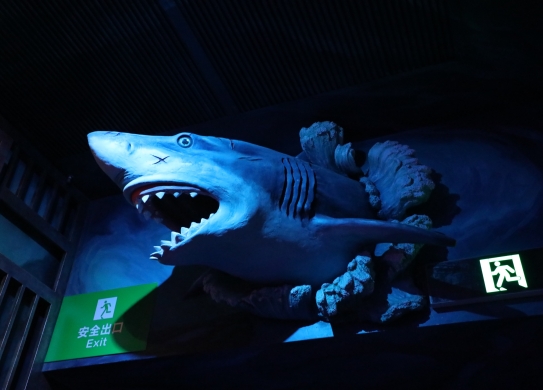 珠海長(zhǎng)隆-宇宙飛船鯊魚(yú)區(qū)包裝工程